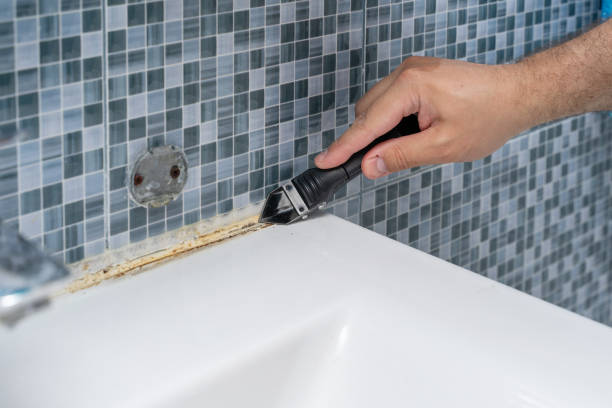 Best Fast Mold Removal  in Sea Ranch, CA