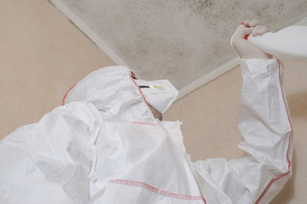 Best Mold Remediation  in Sea Ranch, CA